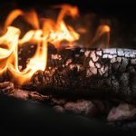 Dinas Damkar Banyuasin Hapus Sarang Tawon di Area Industri